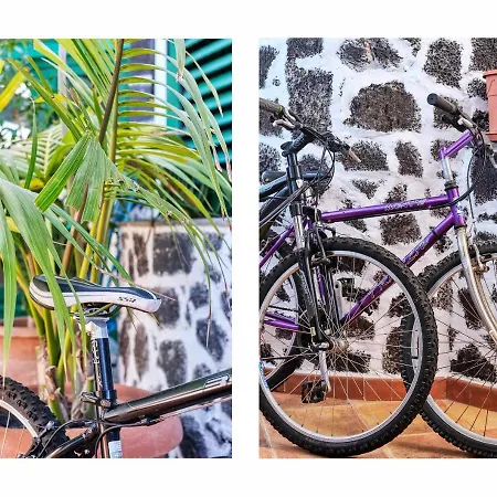 Apartamento Vacacional Shangrila Estudio En Complejo Con Piscina Playa Blanca (Lanzarote)
